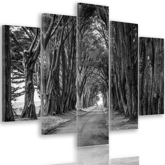 Obraz tryptyk pięcioczęściowy FEEBY, Aleja Drzew w PARKU czarno biały 200x100 Feeby