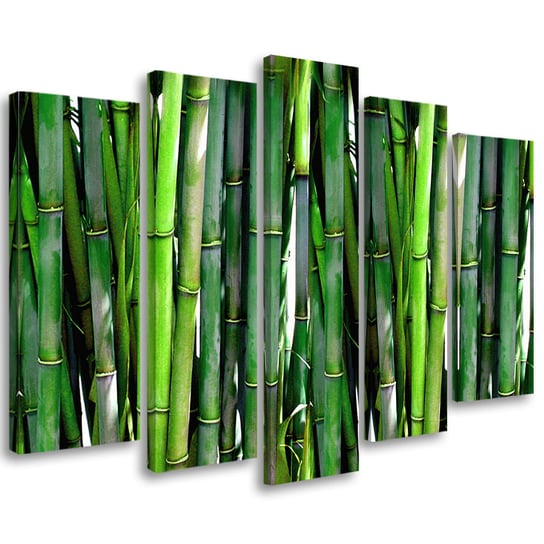 Obraz tryptyk pięcioczęściowy FEEBY, Bambus Las Natura Zielony 150x100 Feeby