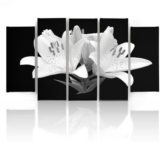 Obraz tryptyk pięcioczęściowy FEEBY, Białe Lilie Kwiaty Natura 100x70 Feeby