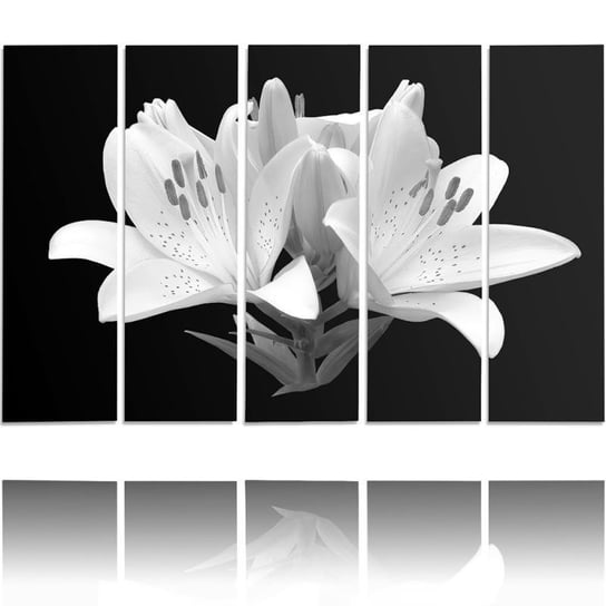 Obraz tryptyk pięcioczęściowy FEEBY, Białe Lilie Kwiaty Natura 250x120 Feeby