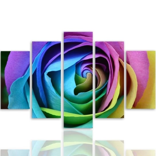 Obraz tryptyk pięcioczęściowy FEEBY, Kwiat Róża Kolorowa 150x100 Feeby