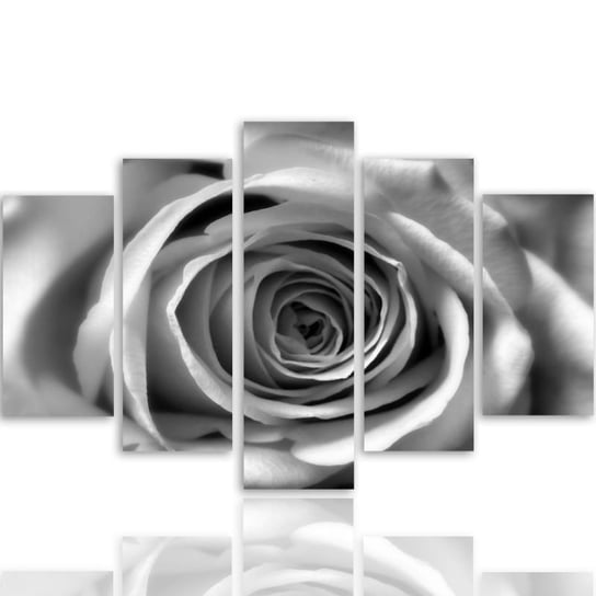 Obraz tryptyk pięcioczęściowy FEEBY, Kwiat Róży Czarno Biały 100x70 Feeby