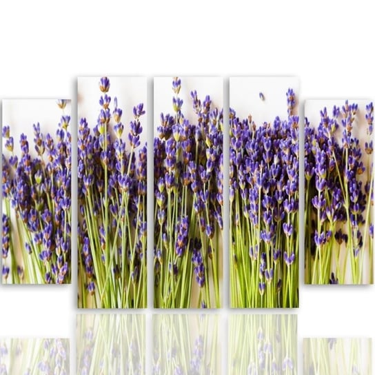 Obraz tryptyk pięcioczęściowy FEEBY, Lawenda Kwiaty Natura 150x100 Feeby