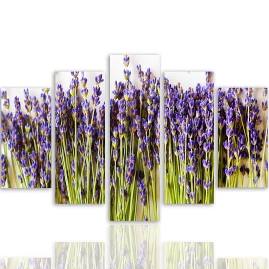 Obraz tryptyk pięcioczęściowy FEEBY, Lawenda Kwiaty Natura 150x100 Feeby