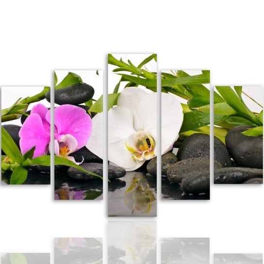 Obraz tryptyk pięcioczęściowy FEEBY, Orchidea Kamienie Bambus 150x100 Feeby