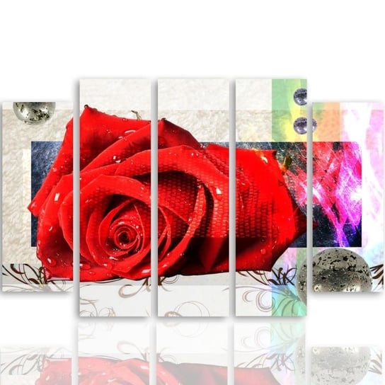 Obraz tryptyk pięcioczęściowy FEEBY, Róża Czerwona Kwiaty Natura 100x70 Feeby