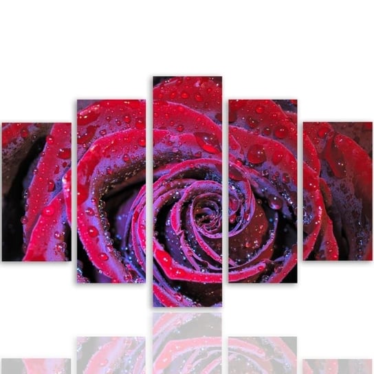Obraz tryptyk pięcioczęściowy FEEBY, Róża Kwiat Czerwony 200x100 Feeby
