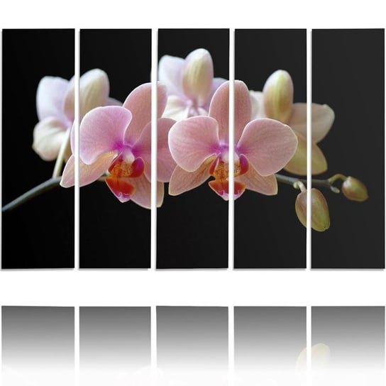 Obraz tryptyk pięcioczęściowy FEEBY, Różowa Orchidea 200x100 Feeby