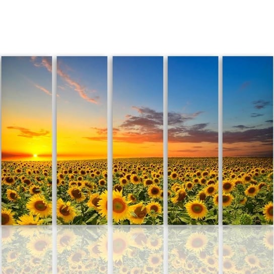 Obraz tryptyk pięcioczęściowy FEEBY, Słoneczniki Zachód Słońca 100x70 Feeby