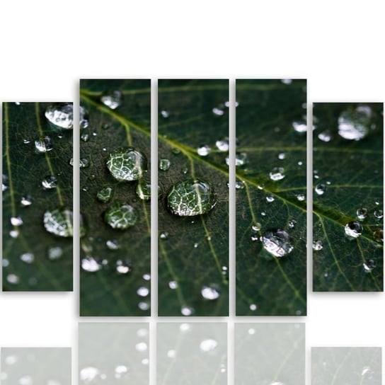 Obraz tryptyk pięcioczęściowy FEEBY, Zielone Liście Krople Wody 100x70 Feeby