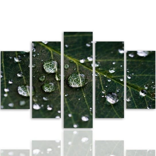 Obraz tryptyk pięcioczęściowy FEEBY, Zielone Liście Krople Wody 150x100 Feeby