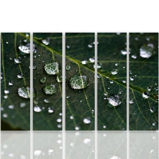 Obraz tryptyk pięcioczęściowy FEEBY, Zielone Liście Krople Wody 250x120 Feeby