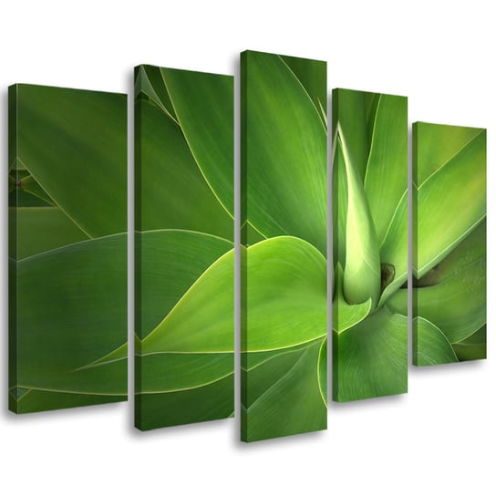 Obraz tryptyk pięcioczęściowy FEEBY, Zielone Liście Rośliny 200x100 Feeby