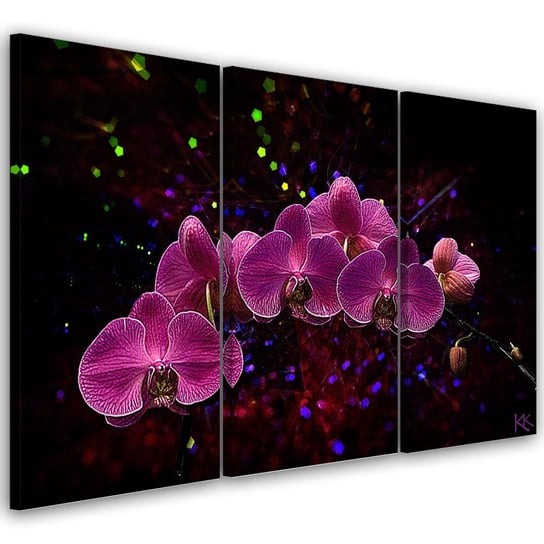 Obraz trzycz�ciowy na p��tnie, Orchidea na ciemnym tle - 120x80 Inna marka