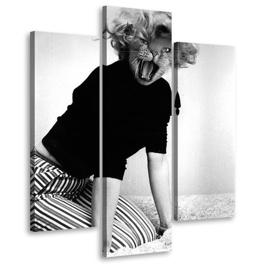 Obraz trzyczęściowy FEEBY, Kobieta z głową kota surrealizm, Tryptyk typ A, 120x160 Feeby