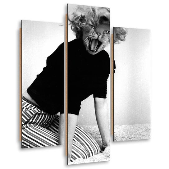 Obraz trzyczęściowy FEEBY, Surrealizm kobieta z głową kota, Tryptyk typ A, 60x80 cm Feeby