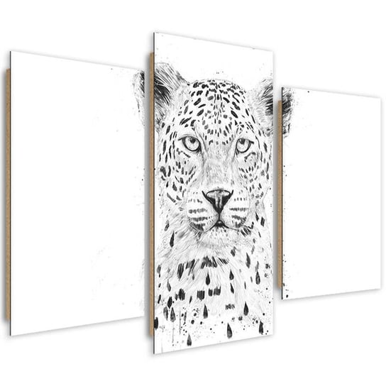 Obraz trzyczęściowy FEEBY, Zwierzę dziki kot szkic, Tryptyk typ A, 90x60 cm Feeby