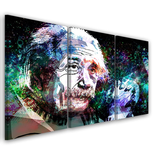 Obraz trzyczęściowy na płótnie FEEBY, Albert Einstein 120x60 Feeby