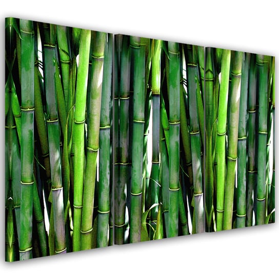 Obraz trzyczęściowy na płótnie FEEBY, Bambus Las Natura Zielony 120x60 Feeby