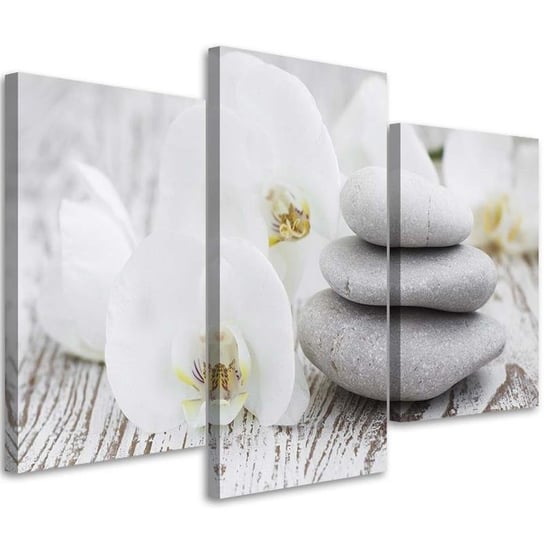 Obraz trzyczęściowy na płótnie FEEBY, Biała orchidea i kamienie 120x80 Feeby