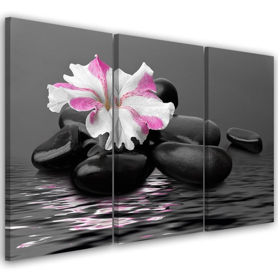 Obraz trzyczęściowy na płótnie FEEBY, Kamienie Kwiat Różowy Zen 60x40 Feeby
