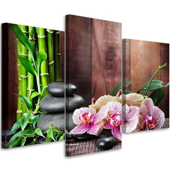 Obraz trzyczęściowy na płótnie FEEBY, Orchidea bambus i kamienie 60x40 Feeby