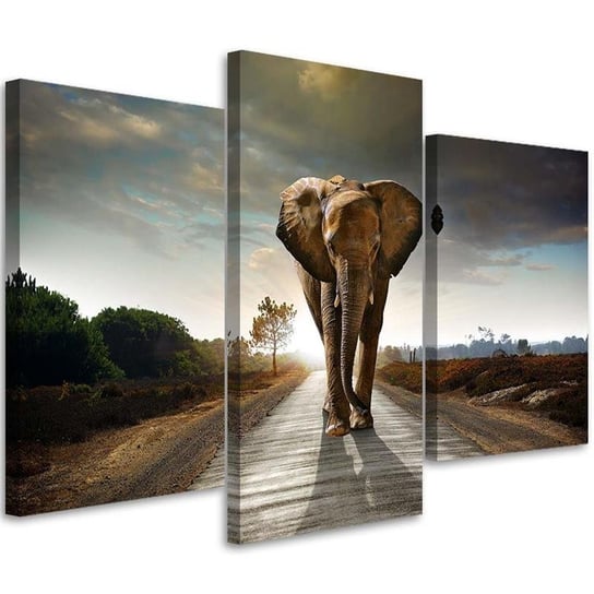 Obraz trzyczęściowy na płótnie FEEBY, Wędrujący słoń na drodze 120x80 Feeby