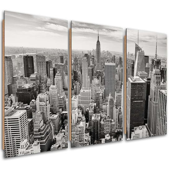 Obraz trzyczęściowy tryptyk FEEBY, Nowy Jork Manhattan Miasto 150x100 Feeby