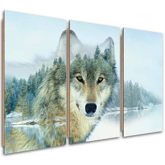Obraz trzyczęściowy tryptyk FEEBY, Zwierzęta Natura Wilk Góry 60x40 Feeby