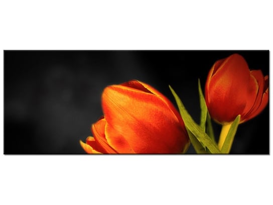 Obraz Tulipany, 100x40 cm Oobrazy