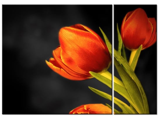 Obraz Tulipany, 2 elementy, 70x50 cm Oobrazy