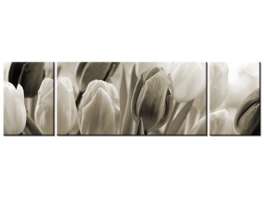 Obraz Tulipany, 3 elementy, 170x50 cm Oobrazy