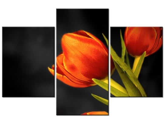 Obraz Tulipany, 3 elementy, 90x60 cm Oobrazy