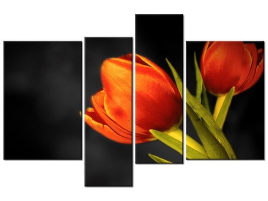 Obraz Tulipany, 4 elementy, 130x85 cm Oobrazy