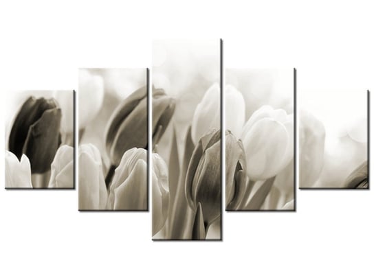 Obraz Tulipany, 5 elementów, 125x70 cm Oobrazy