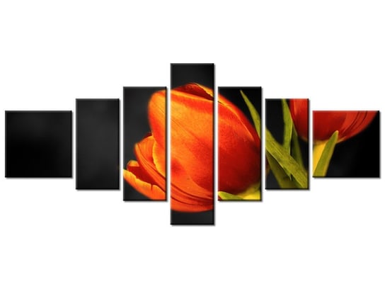 Obraz Tulipany, 7 elementów, 160x70 cm Oobrazy