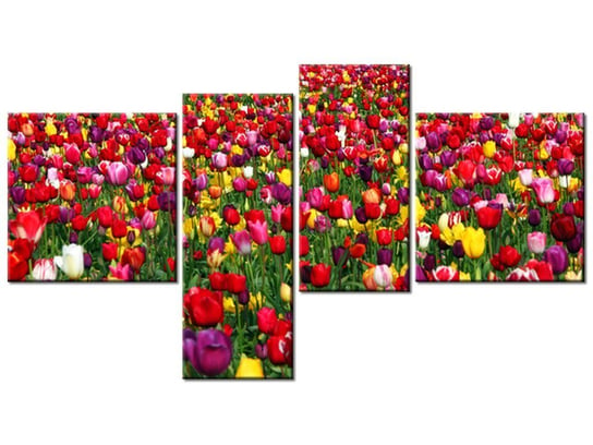 Obraz Tulipany - Ian Sane, 4 elementy, 100x55 cm Oobrazy