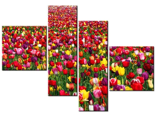 Obraz Tulipany - Ian Sane, 4 elementy, 100x70 cm Oobrazy