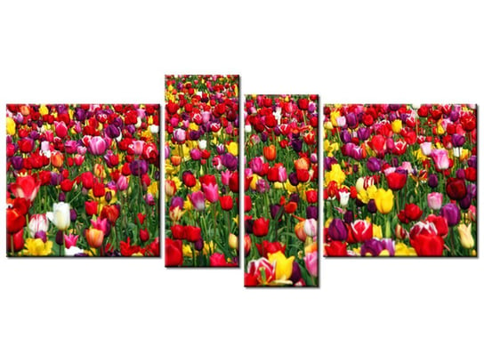 Obraz Tulipany - Ian Sane, 4 elementy, 120x55 cm Oobrazy