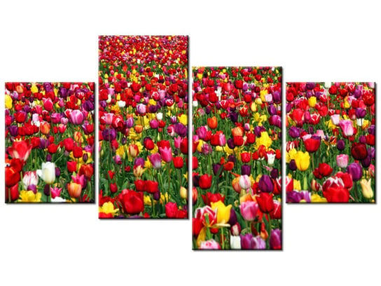 Obraz Tulipany - Ian Sane, 4 elementy, 120x70 cm Oobrazy