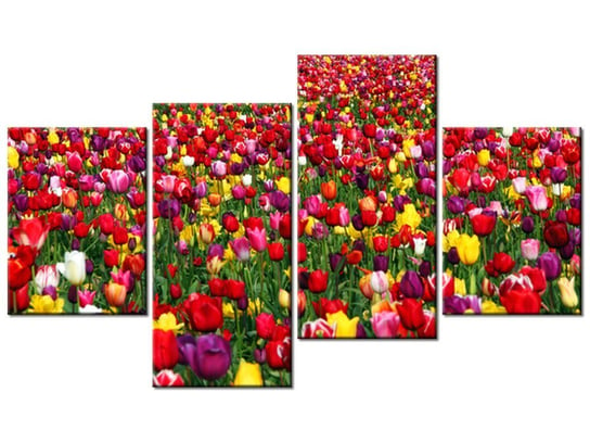Obraz Tulipany - Ian Sane, 4 elementy, 120x70 cm Oobrazy