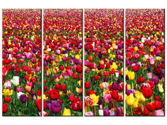 Obraz Tulipany - Ian Sane, 4 elementy, 120x80 cm Oobrazy