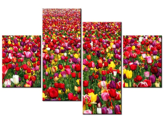 Obraz Tulipany - Ian Sane, 4 elementy, 120x80 cm Oobrazy
