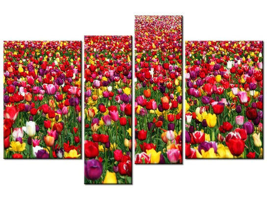 Obraz Tulipany - Ian Sane, 4 elementy, 130x85 cm Oobrazy