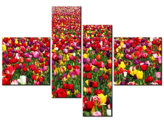 Obraz Tulipany - Ian Sane, 4 elementy, 130x90 cm Oobrazy