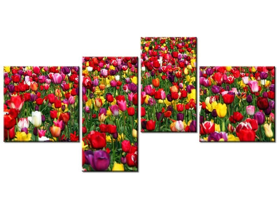 Obraz Tulipany - Ian Sane, 4 elementy, 140x70 cm Oobrazy