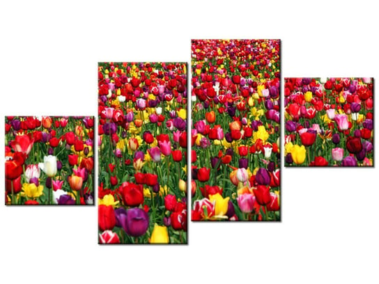 Obraz Tulipany - Ian Sane, 4 elementy, 160x90 cm Oobrazy