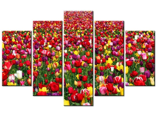 Obraz Tulipany  - Ian Sane, 5 elementów, 100x63 cm Oobrazy