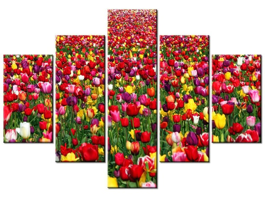 Obraz Tulipany  - Ian Sane, 5 elementów, 100x70 cm Oobrazy