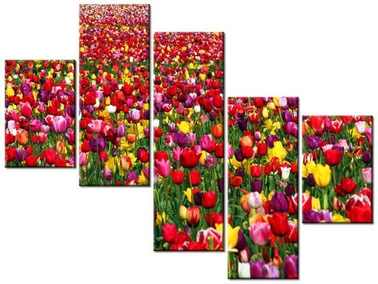 Obraz Tulipany  - Ian Sane, 5 elementów, 100x75 cm Oobrazy